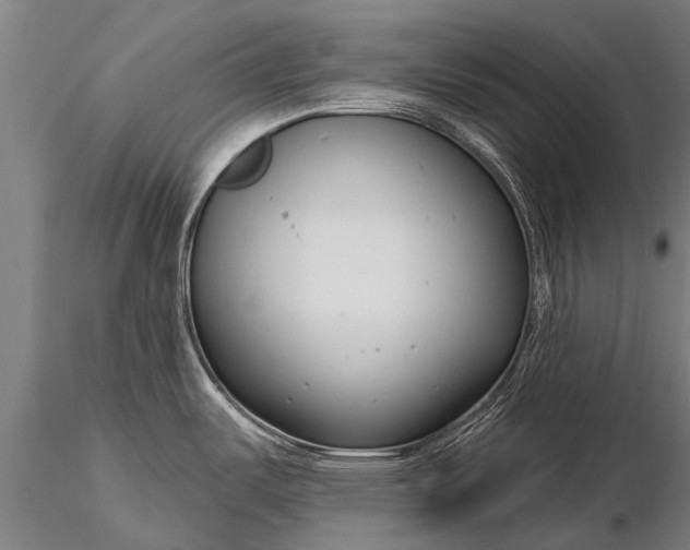 X0000116161487200912141209