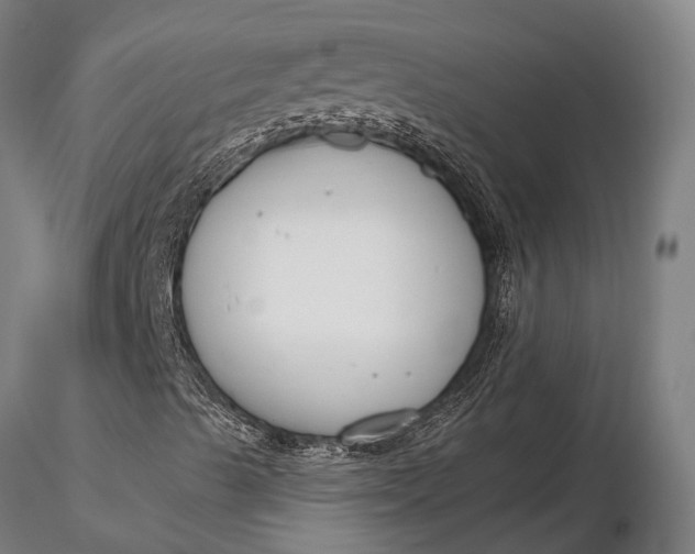 X0000116161489200912141209