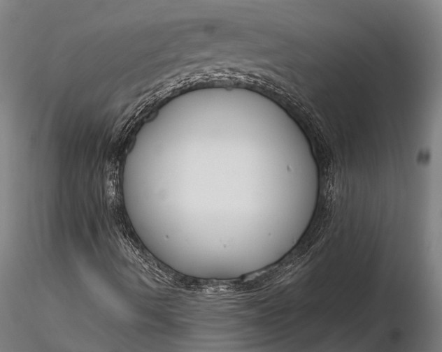 X0000116161490200912141209