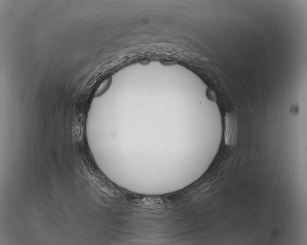 X0000116161491200912141209
