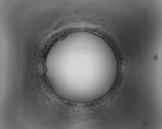 X0000116161493200912141209
