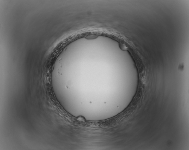 X0000116161495200912141209