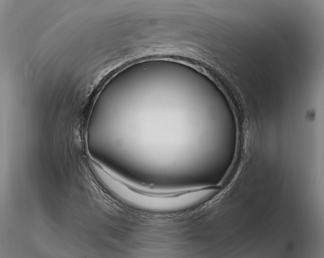 X0000116161497200912141209