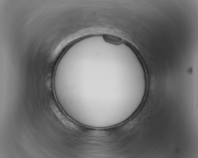 X0000116161499200912141209