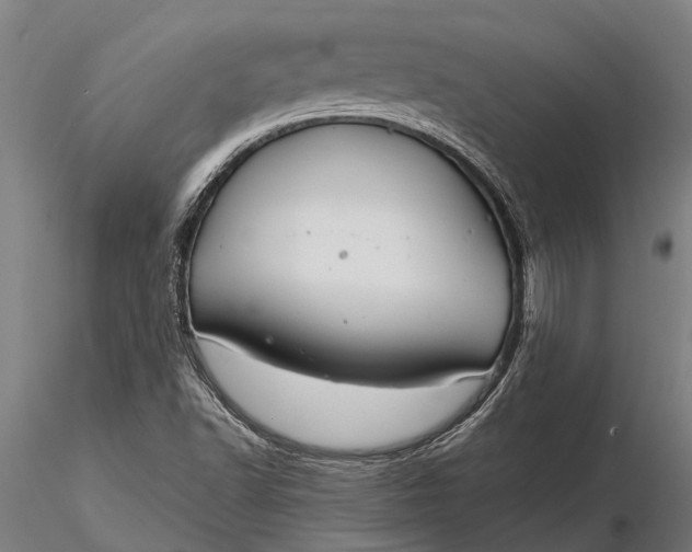 X0000116161502200912141209