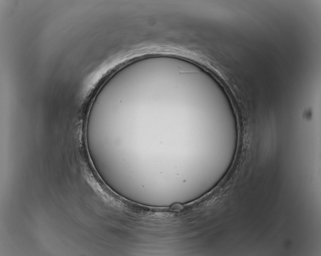 X0000116161503200912141209