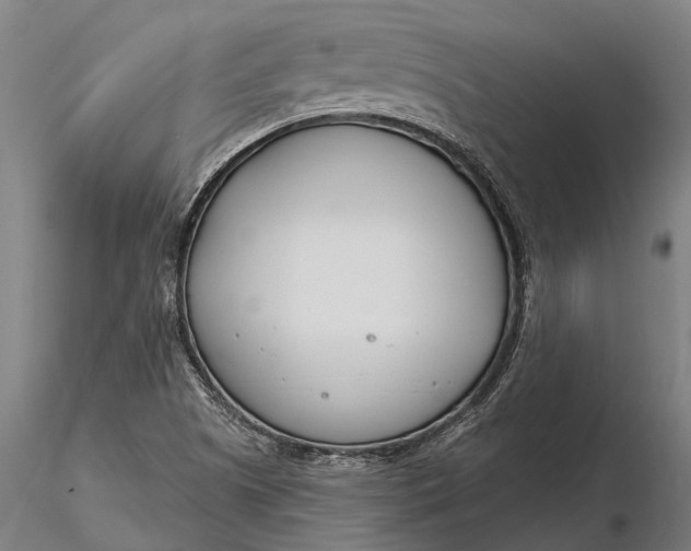 X0000116161505200912141209
