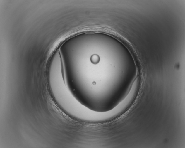 X0000116161506200912141209