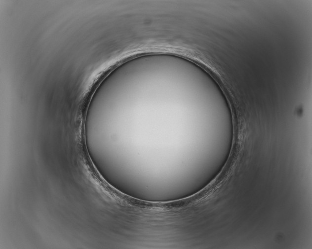 X0000116161507200912141209