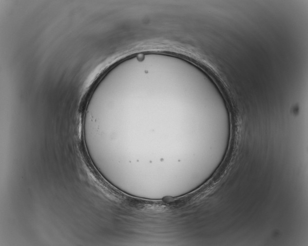 X0000116161509200912141209