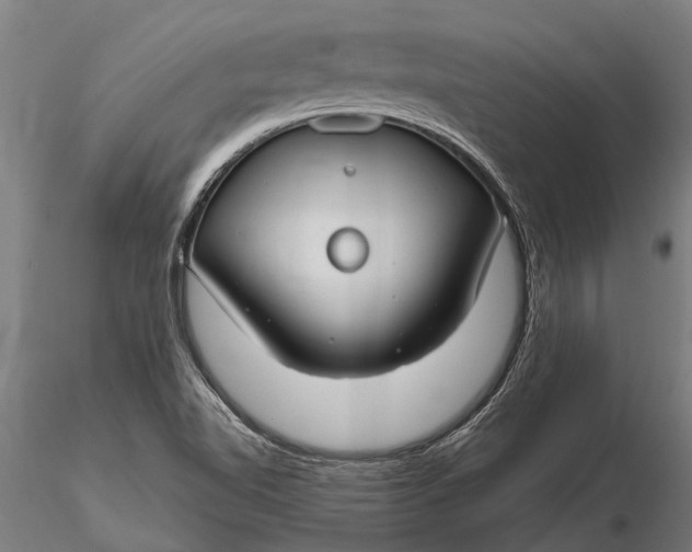 X0000116161510200912141209