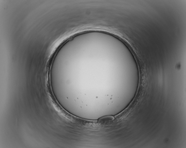 X0000116161511200912141209