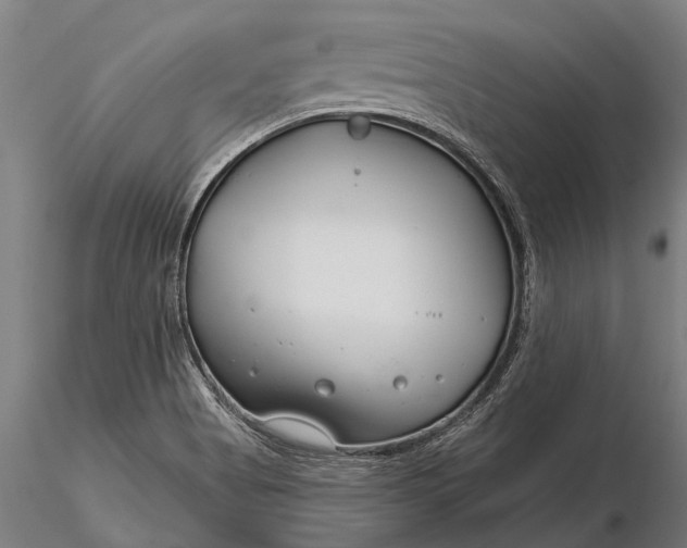 X0000116161513200912141209