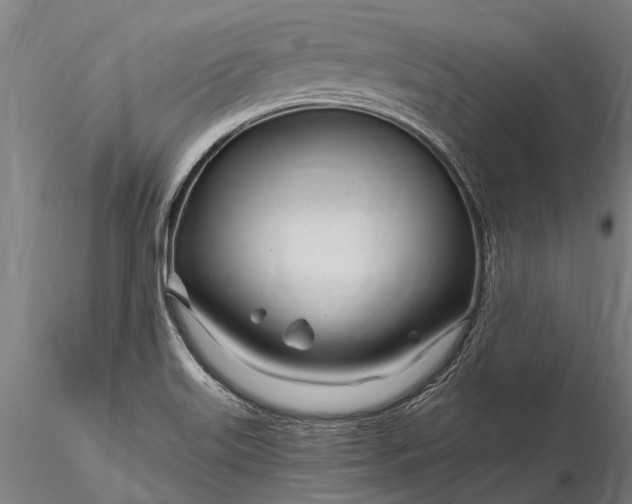 X0000116161515200912141209