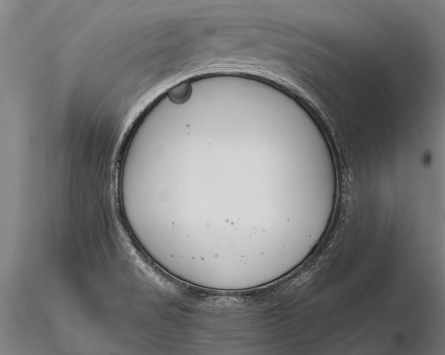 X0000116161517200912141209