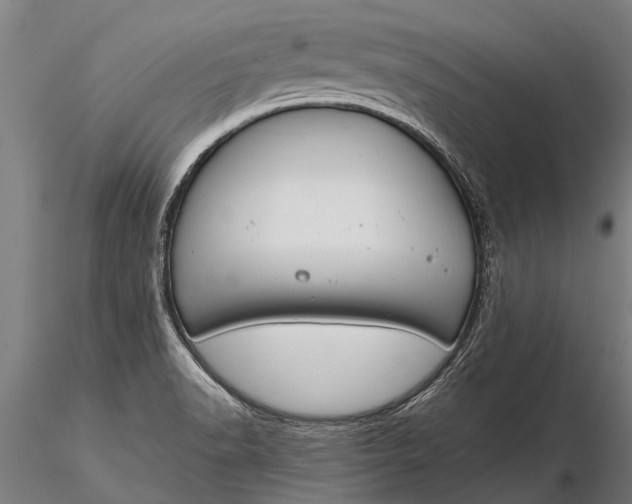 X0000116161518200912141209