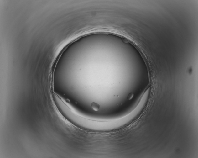 X0000116161519200912141209