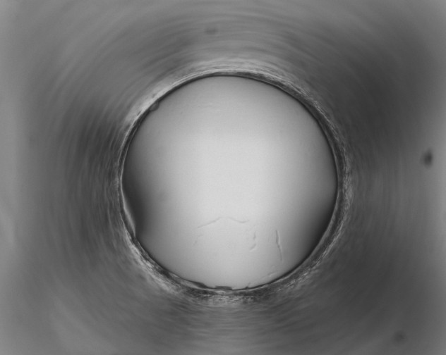 X0000116161521200912141209