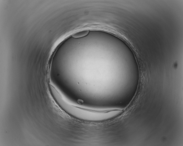 X0000116161522200912141209