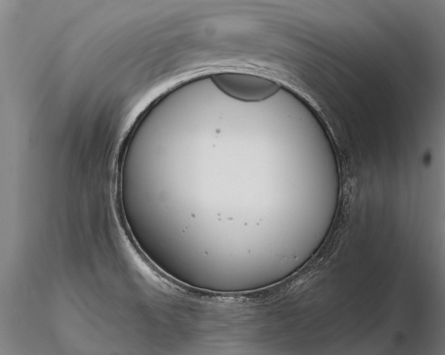 X0000116161523200912141209