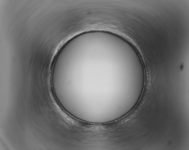 X0000116161525200912141209