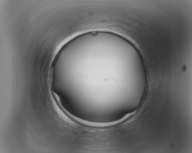 X0000116161526200912141209