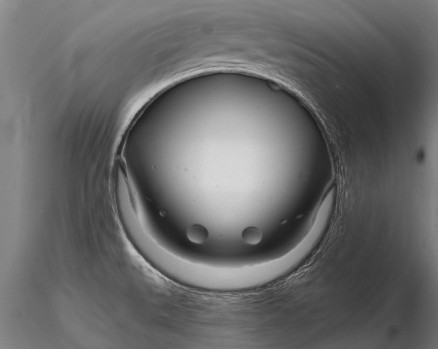 X0000116161527200912141209