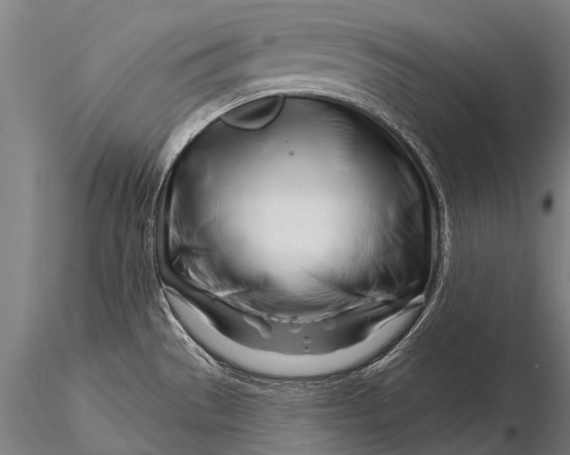 X0000116161529200912141209
