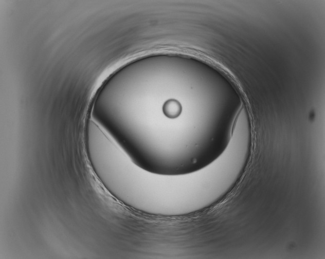 X0000116161530200912141209