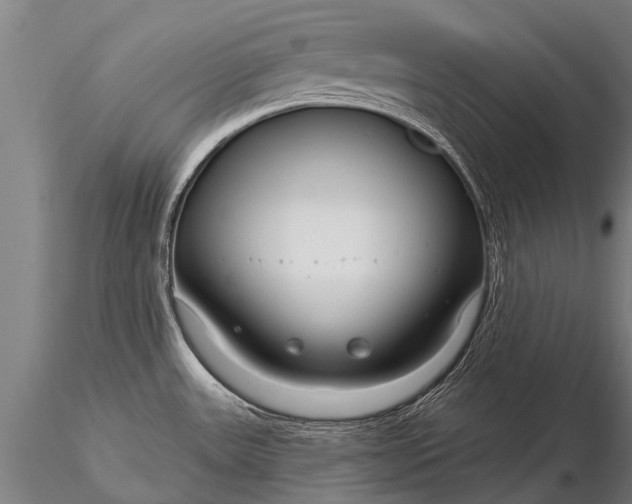 X0000116161531200912141209