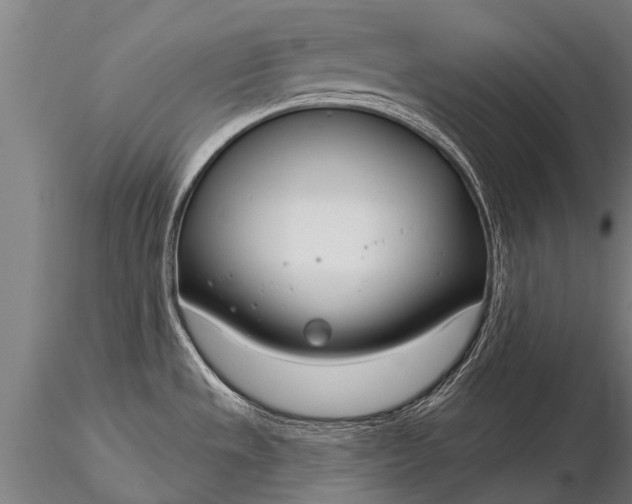 X0000116161533200912141209