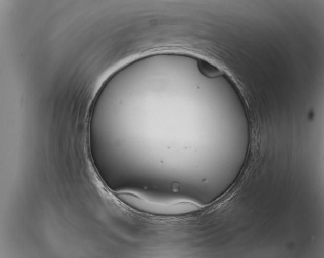 X0000116161534200912141209