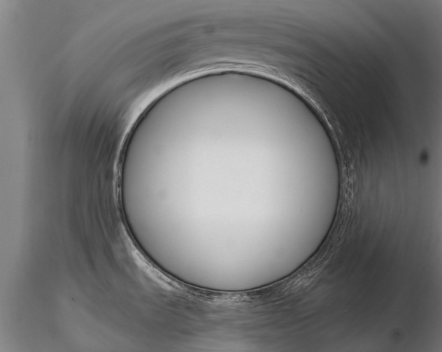 X0000116161535200912141209
