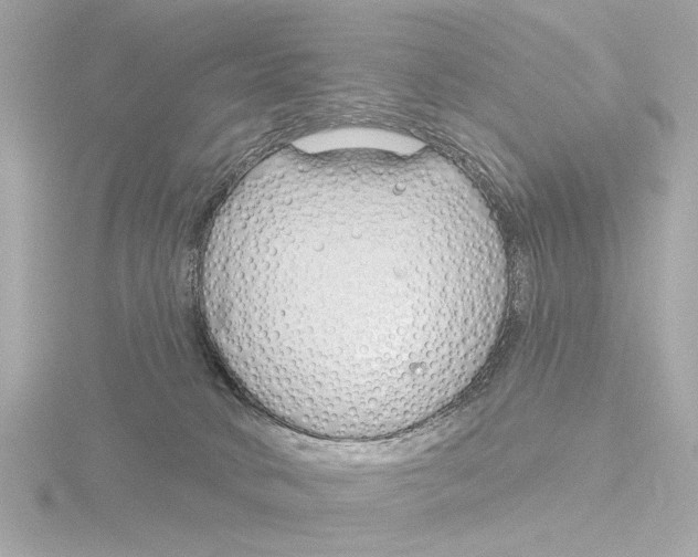 X0000116160034200912211537