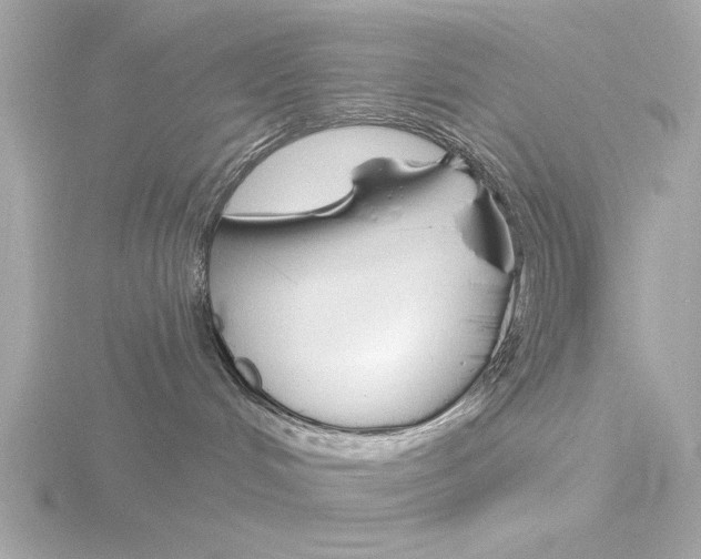 X0000116160048200912211536