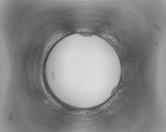 X0000116160049200912211536