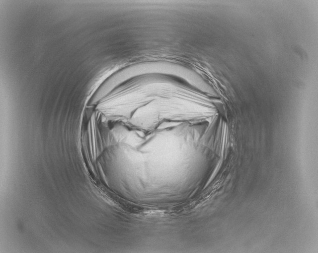 X0000116160052200912211536