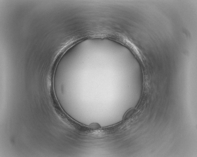X0000116160059200912211536