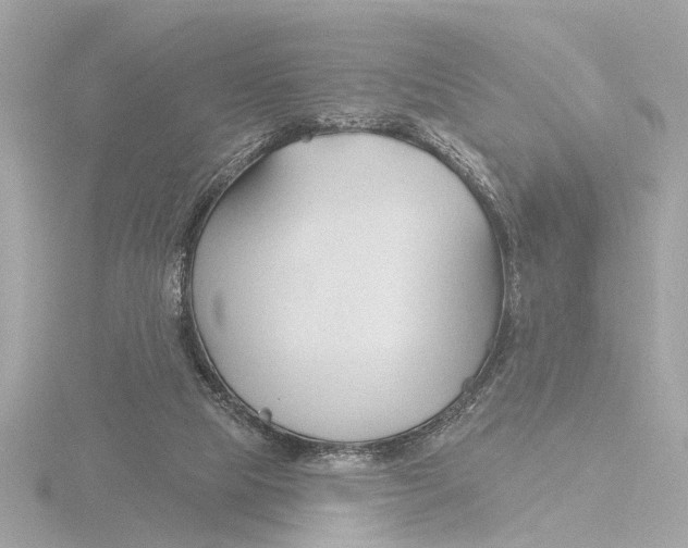 X0000116160065200912211536
