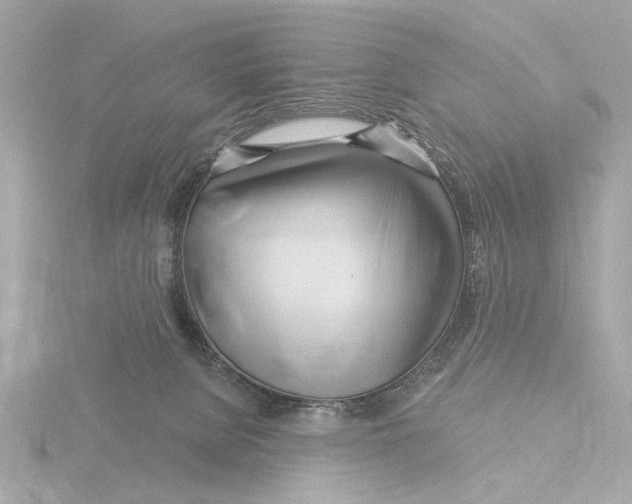 X0000116160080200912211536