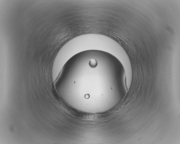 X0000116160084200912211536