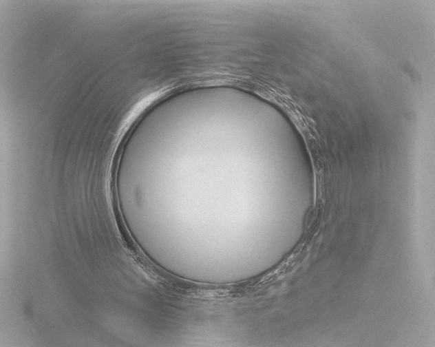 X0000116160147200912211535