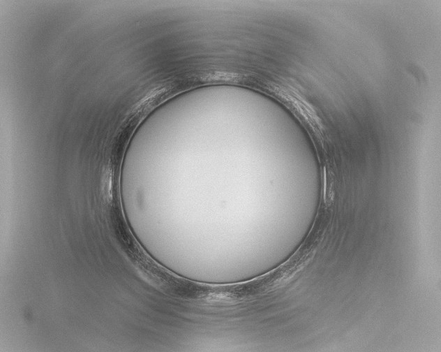 X0000116160157200912211535