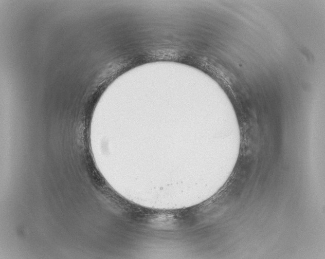 X0000116160162200912211535