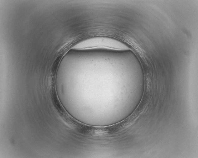 X0000116160165200912211535