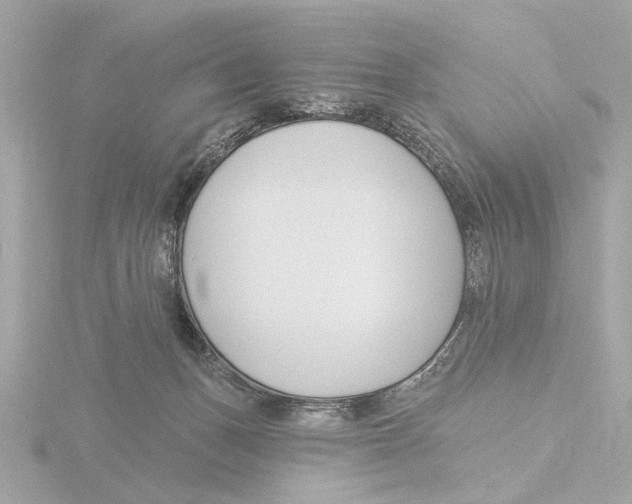 X0000116160175200912211535