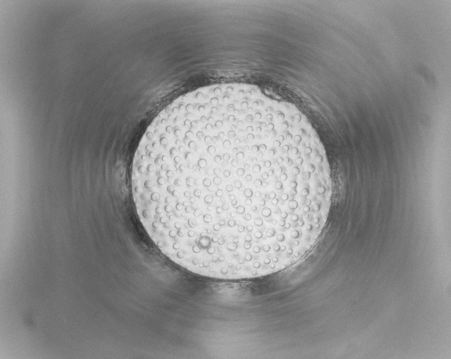 X0000116160187200912211535