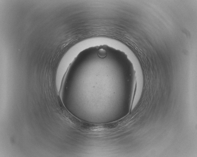 X0000116160219200912211534