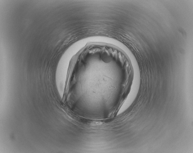 X0000116160227200912211534
