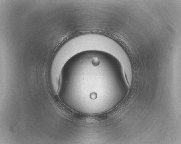 X0000116160264200912211534